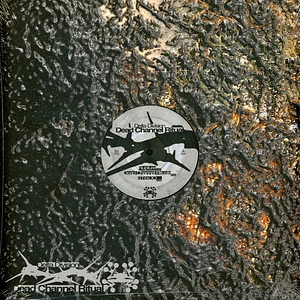 Delta Division - Dead Channels Ritual