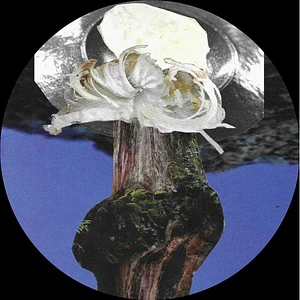 Manami - Treading Dub
