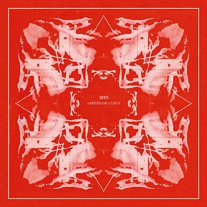 Sees (Michael J. Blood) - Ampersand Curve