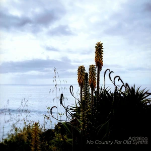 Addalog - No Country For Old Synths