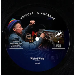 Iternal - Medi Dub All Stars - Wicked World / Cutting Down Our Dub