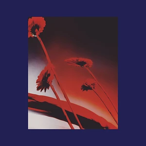 V.A. - Nothing Ever Was: Compiled By DJ Sundae