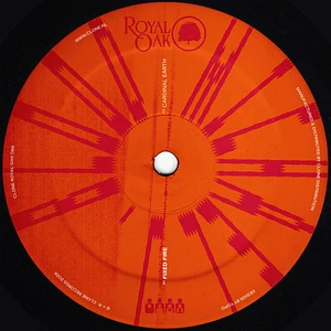 Michael J. Blood - Fixed Fire