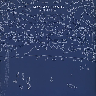 Mammal Hands - Animalia