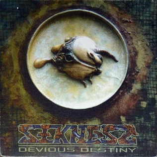 Seekness - Devious Destiny