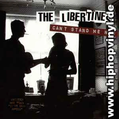 The Libertines - Can't stand me now