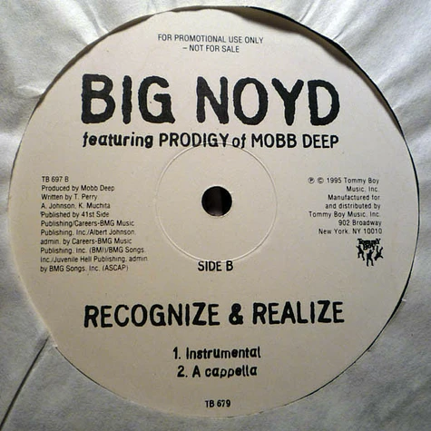 Big Noyd Featuring Prodigy - Recognize & Realize