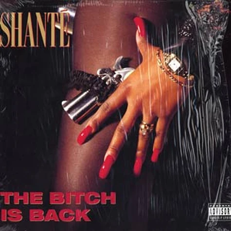 Shante (Roxanne Shante) - The bitch is back