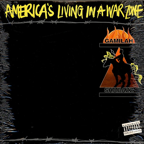 Gamilah Shabazz - America's Living In A War Zone