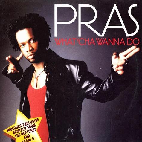 Pras - What'cha wanna do remixes