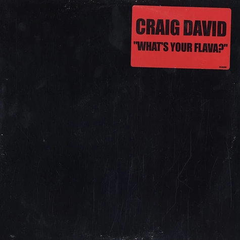 Craig David - What's your flava