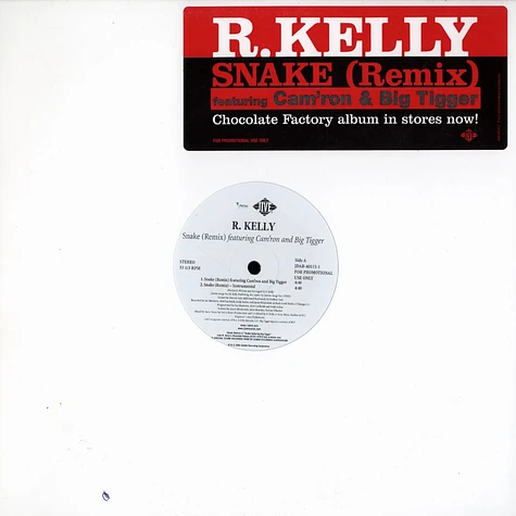 R. Kelly - Snake (Remix)