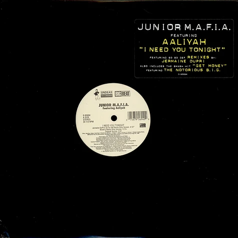 Junior M.A.F.I.A. Featuring Aaliyah - I Need You Tonight
