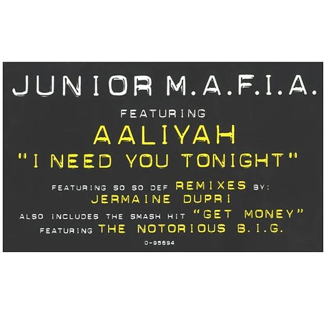 Junior M.A.F.I.A. Featuring Aaliyah - I Need You Tonight