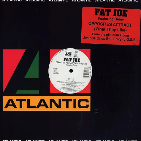 Fat Joe Featuring Remy Martin - Opposites Attract (What They Like)