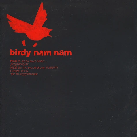 Birdy Nam Nam - The First Break Beat