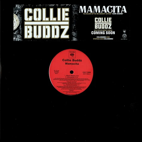 Collie Buddz - Mamacita