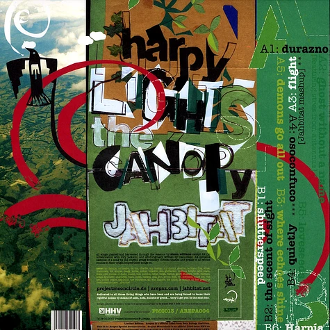 Jahbitat - Harpy lights the canopy