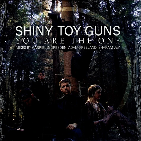 Shiny Toy Guys - You are the one