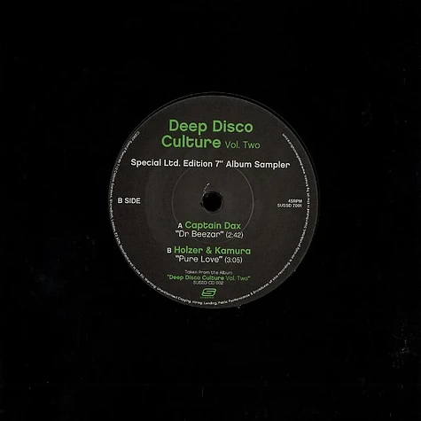 Deep Disco Culture - Volume Two