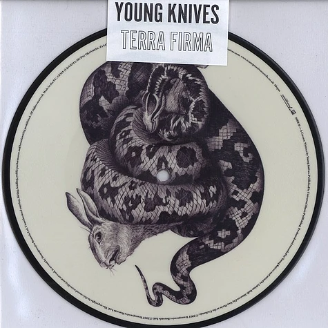 The Young Knives - Terra firma