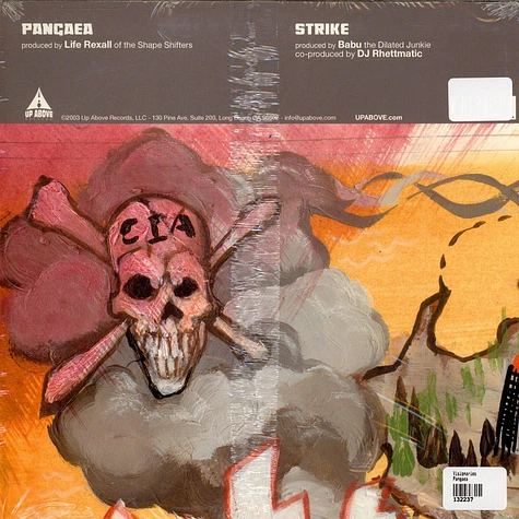 Visionaries - Pangaea / Strike