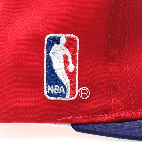 Sports Specialties - Toronto Raptors 90s logo team cap