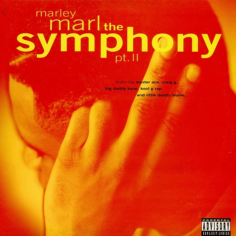 Marley Marl Featuring Masta Ace, Craig G, Big Daddy Kane, Kool G Rap And Little Daddy Shane - The Symphony, Pt. II