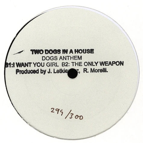 Two Dogs In A House - Dogs Anthem