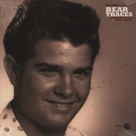 Dr. Boogie presents - Bear Traces Volume 2 LP 2