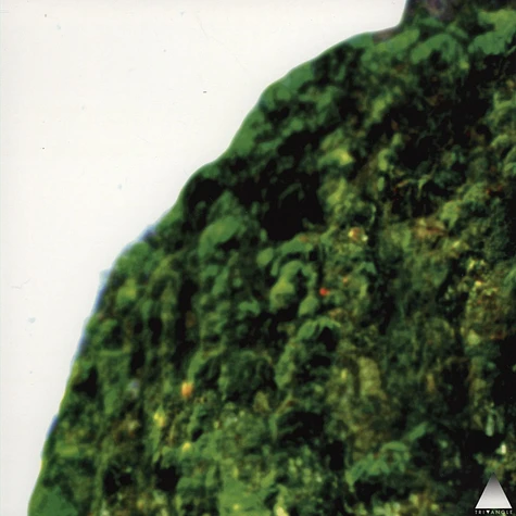 Clams Casino - Rainforest