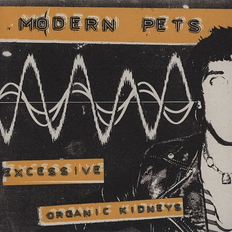 Modern Pets - Excessive / Organic Kidneys