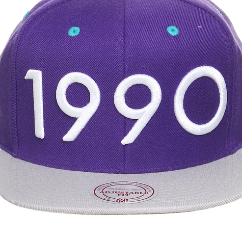 Mitchell & Ness - 1990 Grapes Collection Snapback Cap
