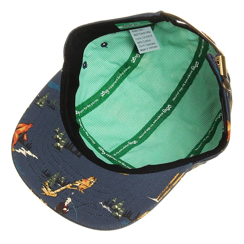 LRG - Father Nature 5-Panel Cap