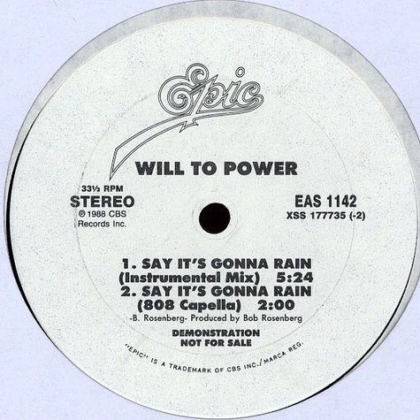 Will To Power - Say It's Gonna Rain