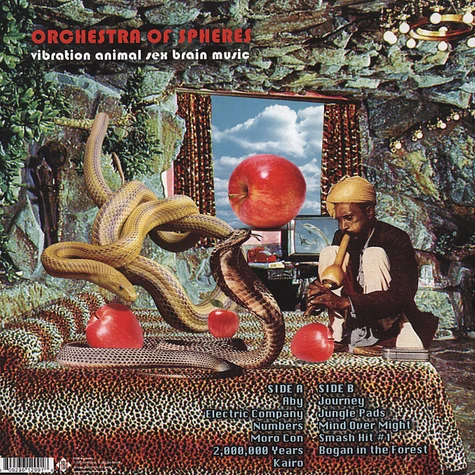 Orchestra Of Spheres - Vibration Animal Sex Brain Music