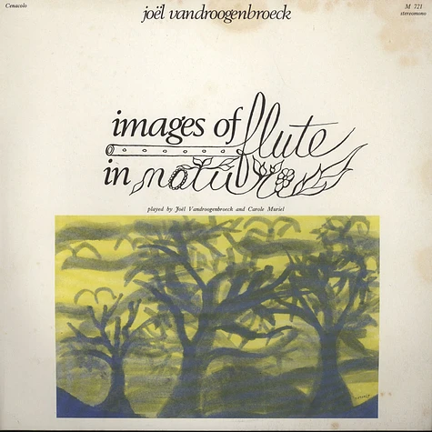 Joel Vandroogenbroeck - Images Of Flute