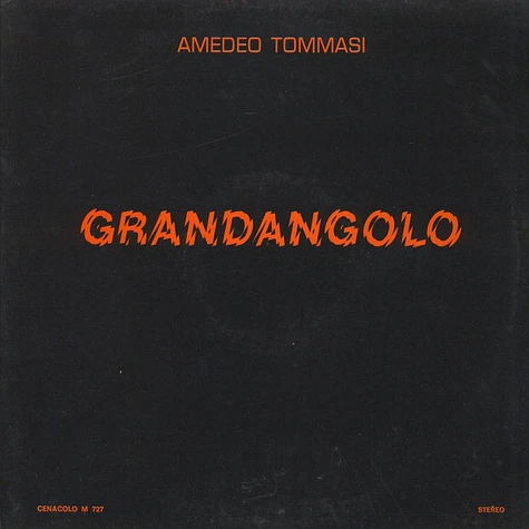 Amedeo Tommasi - Grandangolo