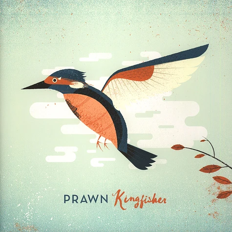 Prawn - Kingfisher