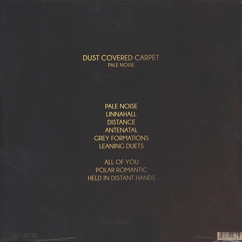 Dust Covered Carpet - Pale Noise