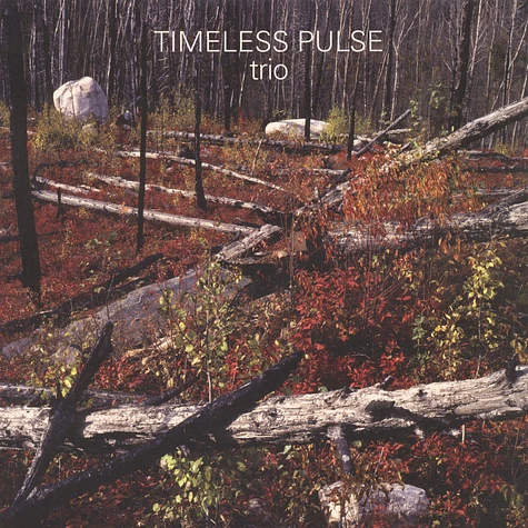 Timeless Pulse - Trio