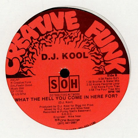 DJ Kool - What The Hell You Come In Here For?