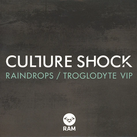 Culture Shock - Raindrops/Troglodyte
