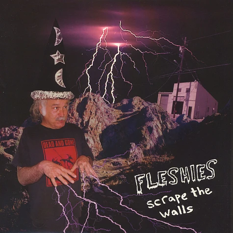 Fleshies - Scrape The Walls