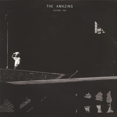 The Amazing - Picture You