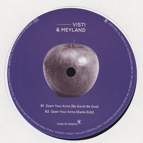 Visti & Meyland - Open Your Arms