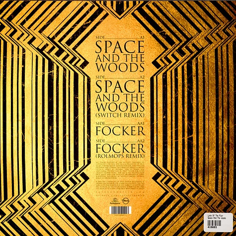 Late Of The Pier - Space And The Woods / Focker