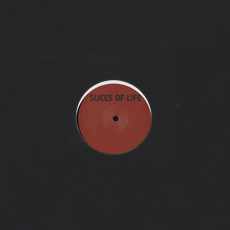 Sistol (Vladislav Delay) / Pole / Mike Huckaby - The S Y N T H Remixes