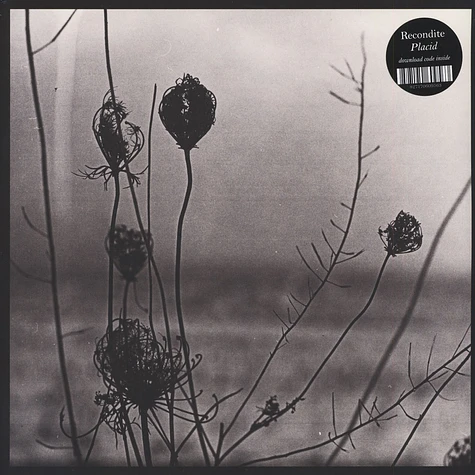 Recondite - Placid