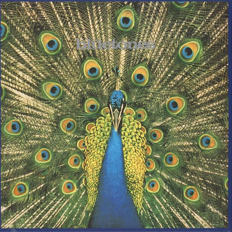 The Bluetones - Expecting To Fly: 20th Anniversary Vinyl Edition